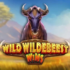 Try Wild Wildebeest Wins slot by Pragmatic Play on sevenbelgie.eu – logo image